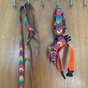 2 Hounds Design Tribal Print Leash and Harness